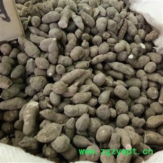 三叶青 选货14cm筛以上 大个三叶青  产地 浙江省图2