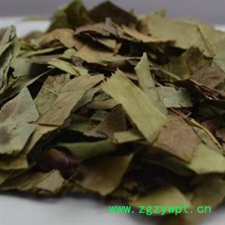 石楠藤 石楠叶  统货 产地 辽宁省图2