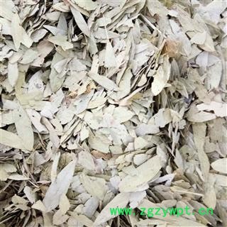 番泻叶 统货 产地 云南省图2