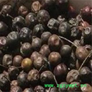 芝春堂 各种冷背药材批发 枸骨子 功劳子 质量保证 支持验货图4