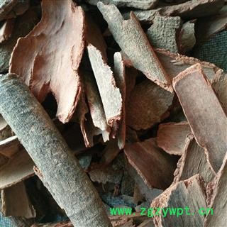 钻地风 地枫皮 钻地枫 追地枫、桐叶藤、全叶钻地风、利筋藤 统货 产地 广西壮族自治区图2