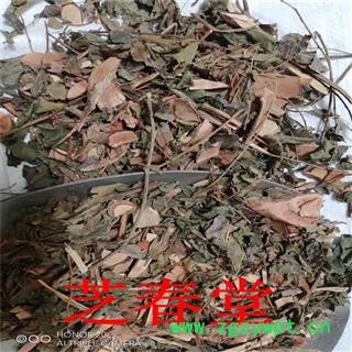 中药材漆大姑 毛漆 毛七哥 毛七公 大毛七 中草药漆大姑图4