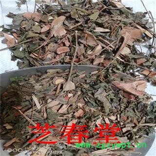 中药材漆大姑 毛漆 毛七哥 毛七公 大毛七 中草药漆大姑图3