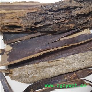 圣草康园梓白皮 梓白皮梓木白皮 梓皮 土杜促图2