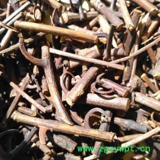 钩藤 统装 钩丁 产地 湖北省图2