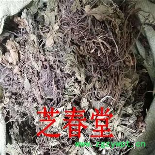 肺心草 批发冷背中药材 肺心草 梅花草 白侧耳 专药用 正品保障图2