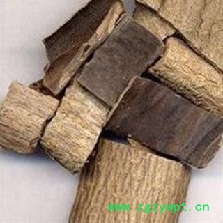 圣草康园杜仲  炒杜仲图2