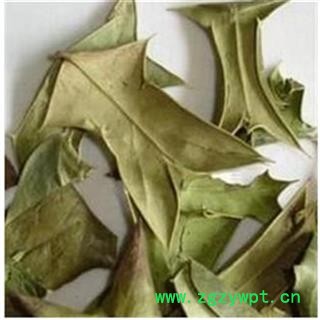 中药材批发零售供应冷背正品优质无硫枸骨叶功劳叶一件代发图4