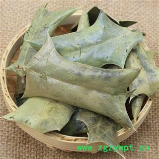 中药材批发零售供应冷背正品优质无硫枸骨叶功劳叶一件代发图2