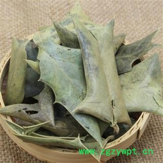 中药材批发零售供应冷背正品优质无硫枸骨叶功劳叶一件代发图3