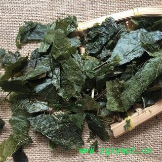 淫羊藿 羊油灸淫羊藿 淫洋藿 产地 甘肃省 买好药娟子图3