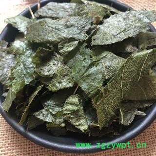 淫羊藿 羊油灸淫羊藿 淫洋藿 产地 甘肃省 买好药娟子图2