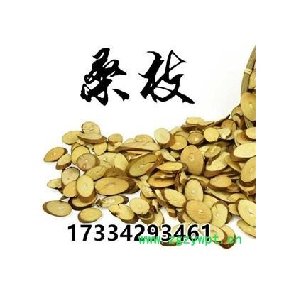 桑枝  中药材 桑枝片 桑条 嫩桑枝