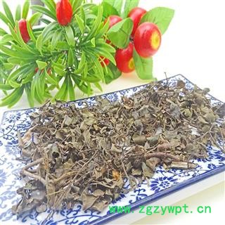 虎刺 绣花针 中药材 伏牛花 刺龙牙老鼠刺白凤珠图3