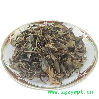 虎刺 绣花针 中药材 伏牛花 刺龙牙老鼠刺白凤珠图4