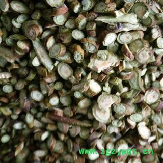 桑寄生 桑寄生选货 产地 云南省图2