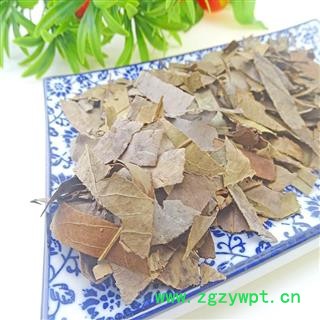 柿子叶 中药材 柿叶 柿子叶茶 柿子叶子干柿子叶图3