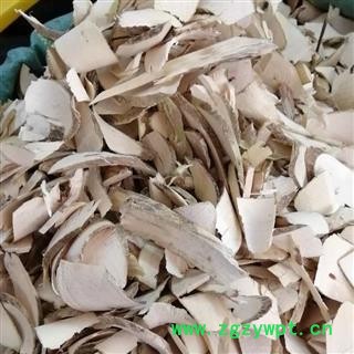 黄花倒水莲 阳枝 黄花大远志 观音串 黄花远志 吊黄 倒吊黄花 产地 广西壮族自治区 买好药找娟子图2