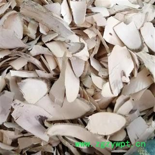 黄花倒水莲 阳枝 黄花大远志 观音串 黄花远志 吊黄 倒吊黄花 产地 广西壮族自治区 买好药找娟子图3