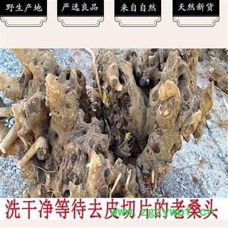 桑枝 老桑头 老桑树根 桑枝子 桑树片 老桑片 产地 四川省 买好药找娟子图2