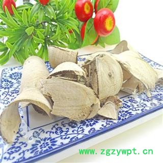 了哥王 地锦皮 山豆了 九信菜 九信草图2