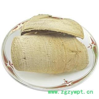 了哥王 地锦皮 山豆了 九信菜 九信草图4