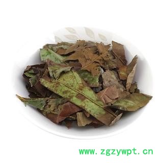 石楠叶 中药材 石南叶 中药材干货石楠叶图4