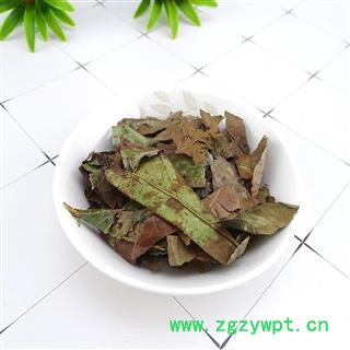 石楠叶 中药材 石南叶 中药材干货石楠叶图3