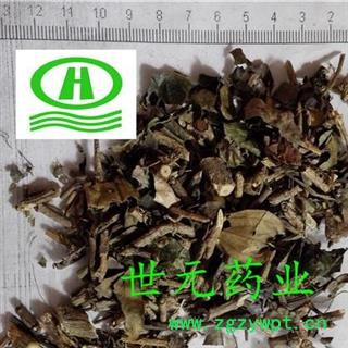 世元药业 三角枫 正品 三角风 三角槭图2