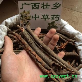 广西壮乡中草药 野生 红杜仲 杜仲藤 土杜仲 红九牛 产地 广西柳州图2