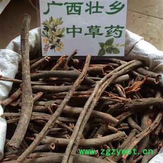 广西壮乡中草药 野生 红杜仲 杜仲藤 土杜仲 红九牛 产地 广西柳州图3