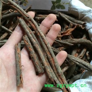 广西壮乡中草药 野生 红杜仲 杜仲藤 土杜仲 红九牛 产地 广西柳州图4