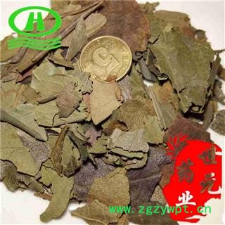 世元药业 柿叶 北方手摘柿叶 秋后叶含量高 柿子叶图2