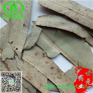 世元药业 桉叶 桉树叶 正品 药店诊所专供图2