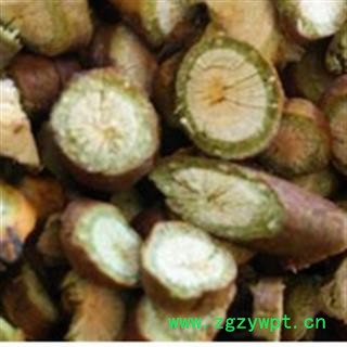 槲寄生 学名槲寄生 新鲜嫩枝选片 精品好货  产地 吉林省图2