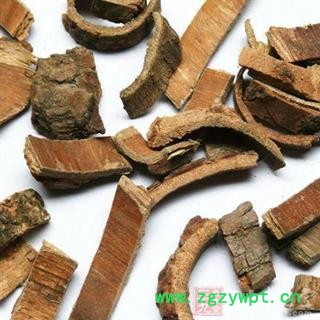 喜树皮 统货 产地 江苏省图2