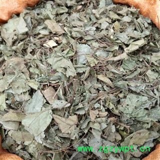 广西壮乡中草 野生 八角枫叶 产地 广西柳州图2