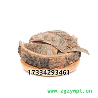 中药材 海桐皮 钉桐皮 鼓桐皮 丁皮 刺通楤木皮 鹊不踏 虎阳刺 鸟不宿 通刺 黄龙苞 刺龙柏 刺树椿图4