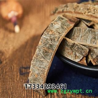 中药材 海桐皮 钉桐皮 鼓桐皮 丁皮 刺通楤木皮 鹊不踏 虎阳刺 鸟不宿 通刺 黄龙苞 刺龙柏 刺树椿图3
