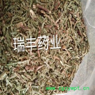 侧柏叶 侧柏叶统货 产地 山东省图2