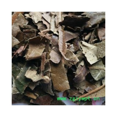 枇杷叶统过筛产地福建省福州市鼓楼区