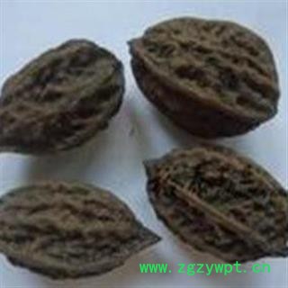 瑞森药材行中药材山核桃小核桃、秋核桃、胡桃秋图2