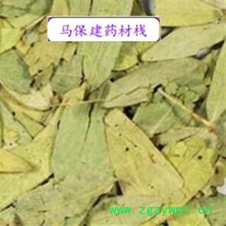 番泻叶 番泻叶统货 产地 广西壮族自治区图2