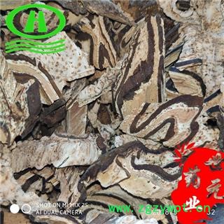 世元药业 龙骨风 正品 经济实惠 大贯众 飞天蠄蟧图2