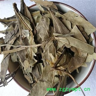 瑞森药材行中药材 黄花夹竹桃叶 黄花状元竹 酒杯花 夹竹桃叶图2