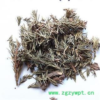 瑞森药材行柏叶 刺柏叶 刺柏树叶 产地 新疆维吾尔自治区图2