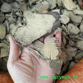 广西壮乡中草药 野生 九层风 产地 广西柳州图4