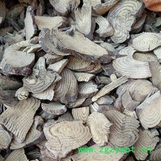 广西壮乡中草药 野生 九层风 产地 广西柳州图2