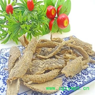 椿根皮臭椿树根皮 春根皮椿白皮 香椿树皮椿皮 椿根图2