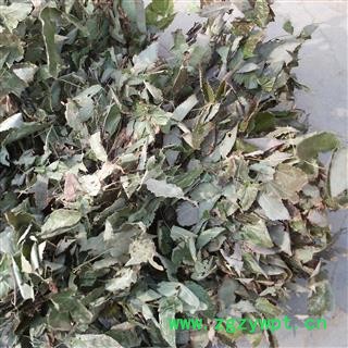 淫羊藿 甘肃淫羊藿（包含量） 产地 甘肃省图2